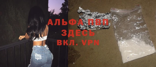крисы Алзамай