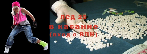 крисы Алзамай