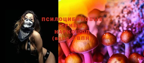 крисы Алзамай