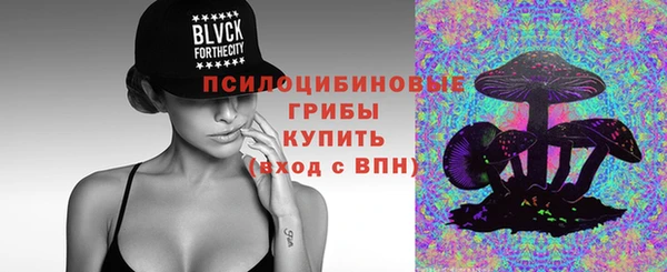 крисы Алзамай